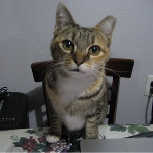 Meet your Posher, Janet